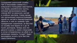 Николаев 10 августа 2026 года (новости)