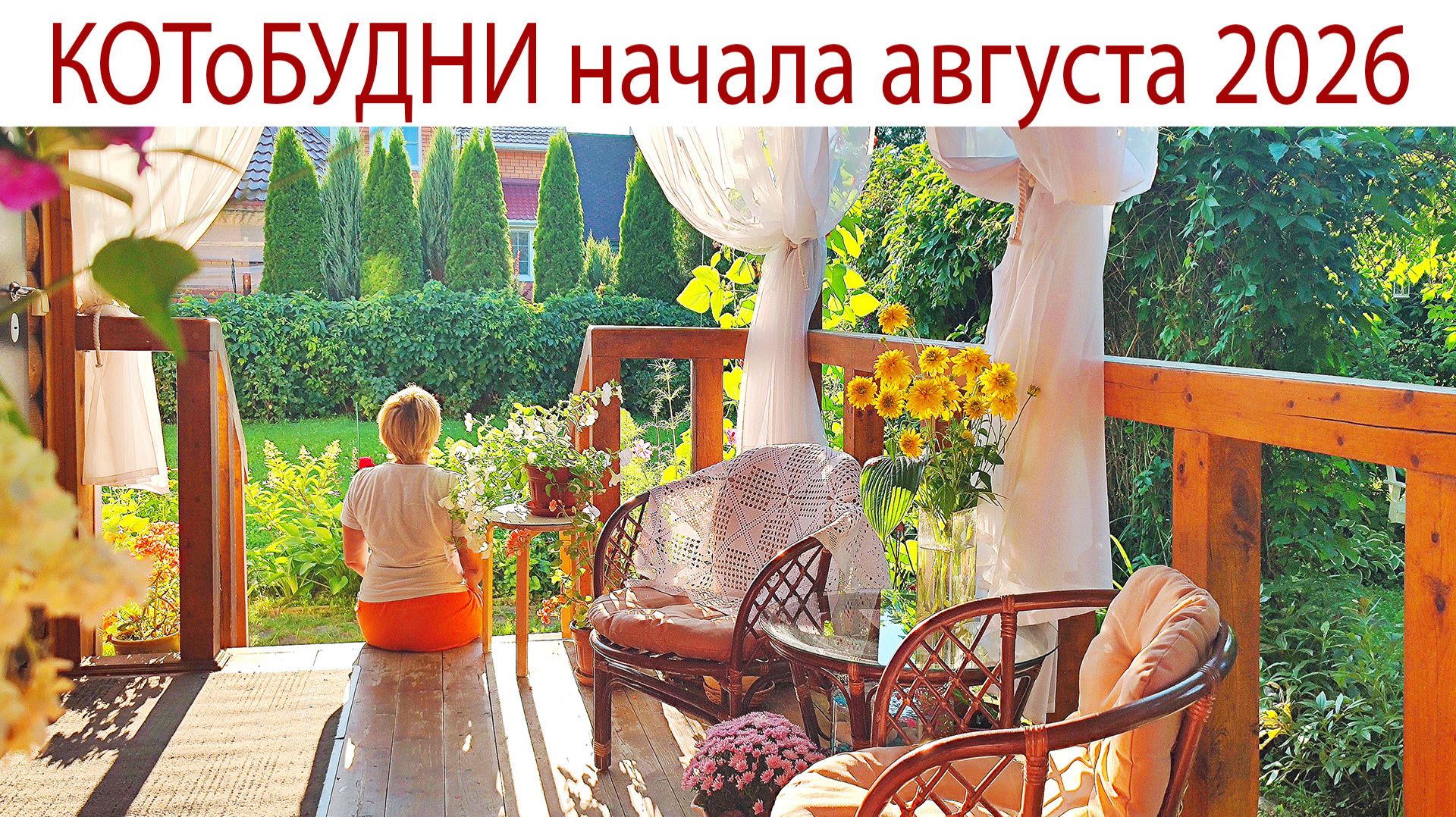 Живём в лучах августа или КОТоБУДНИ начала последнего месяца лета 2026г.