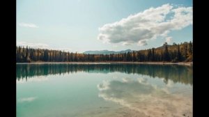 Полнейший дурдом (Suno AI)