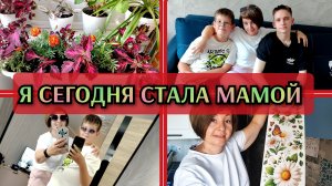 09-08-2026 Блины с кабачками😋Бархатцы на месте👍 ДР сына❤️Покупки из пятёрочки🛒 Комментарии🙂