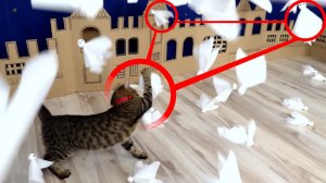 Нападение котят на город призраков в реальной жизни! 👻🐈