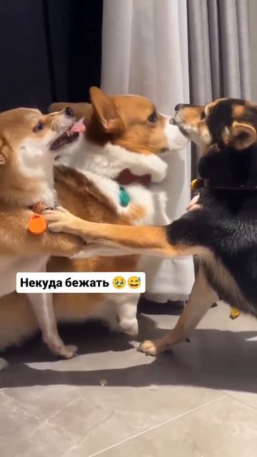 Помогите
