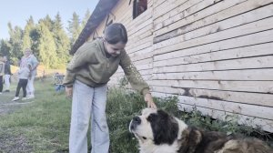 Ослы, козлы 🐐🐐🐐 и кони 🐎🐴🐎