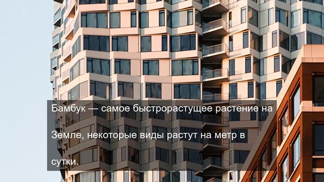 Большой брать 1984 дает силу 6