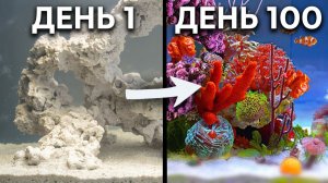 🌍 Dr. Plants / Симуляция океана 100 ДНЕЙ подряд: построил замкнутый коралловый риф в аквариуме!