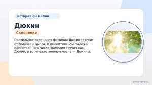Фамилия Дюкин: происхождение, значение и склонение