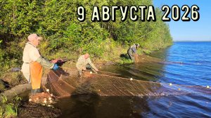 Добыча рыбы неводом 9 августа 2026