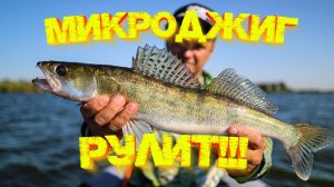 На МИКРОДЖИГ поймаешь больше рыбы 👍 СУДАКИ и берши звереют 💪💪💪
