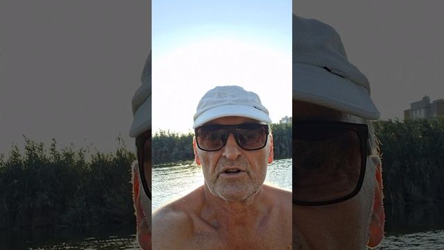 практика с животными. почему нельзя. как мы их любим.