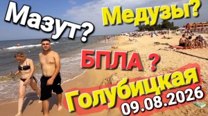 Голубицкая - Что с БПЛА Мазутом и морем? Анти-медузные сети пропали? 09.08.2026