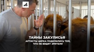 Тайны закулисья.  Артисты цирка поделились тем, что не видят зрители