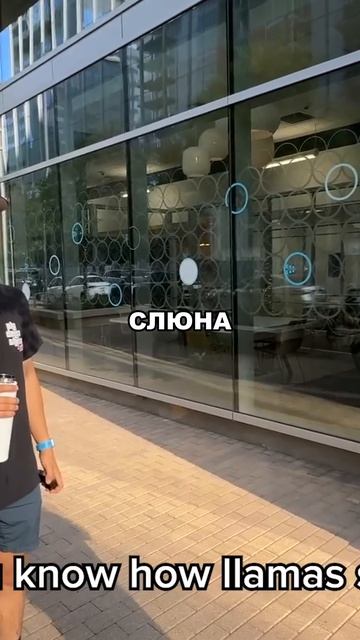 Разыгрывал людей 
