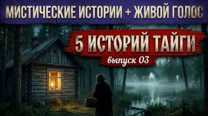 историй из леса: тайга, зимовья и те, кто выводит заблудших. ЖИВОЙ ГОЛОС. Выпуск 03