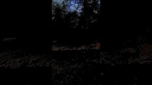 1000064763.mp4интересное дерево