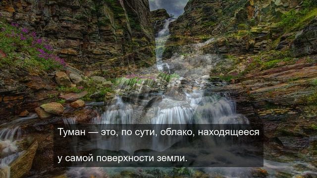Большой брать 1984 дает силу 14