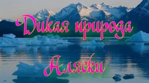 Дикая природа Аляски