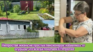 Непростая жизнь не простых пенсионеров: избавляюсь от огурцов, что всегда покупаем в Пятёрочке