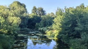 Обстановка на реке Гжелка в Малахово,Песчаном карьере и каналах около него. 09-08-2026
