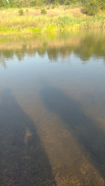 Вечером на рыбалку!