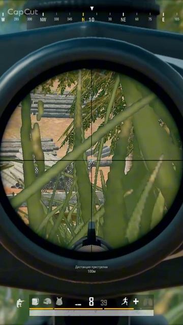 Санок лагучий в pubg