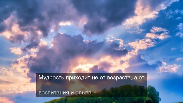 Жизненный путь тяжелого цветка 20