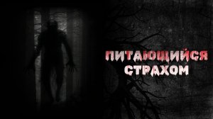 ПИТАЮЩИЙСЯ СТРАХОМ (СТРАШНЫЕ ИСТОРИИ)
