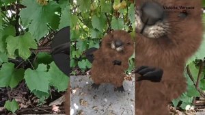 Доброе утречко в понедельник 👍