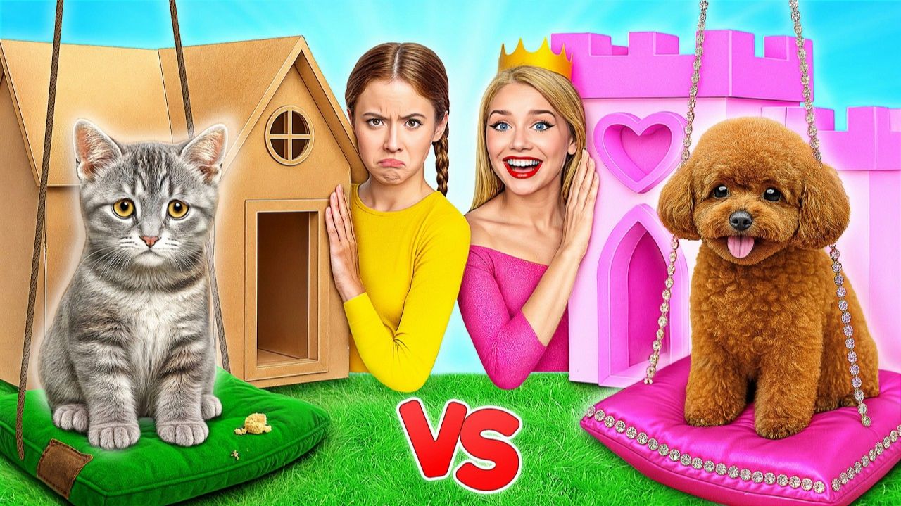 Строим Секретные Домики для Животных _ Богатая Собака Vs Бедная Кошка