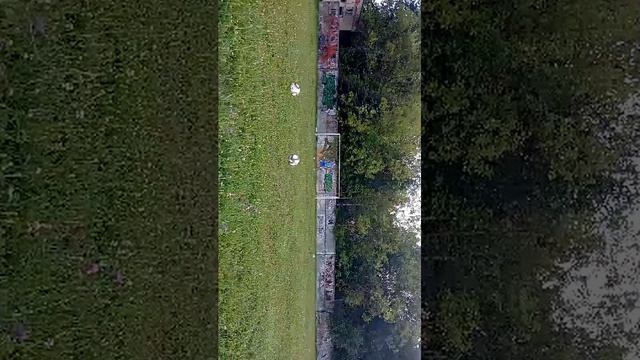 09-08-2026