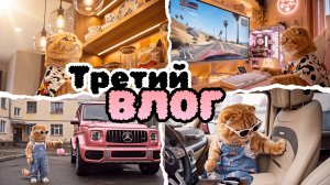 Третий ВЛОГ кошки-блогера | Рум-тур, позвала кошек в гости, похвасталась тачкой