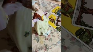 Мужчина к вам проявится