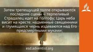 12 августа 2026. Терпеливый Страдалец. Иисус — величайшее имя | Адвентисты