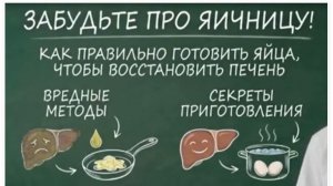 Как правильно готовить яйца для восстановления печени