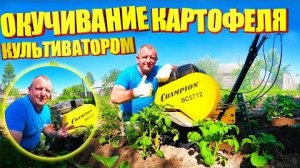 Мотокультиватор Чемпион ВС5712 Окучивание Картофеля.