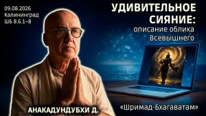 Удивительное сияние: описание облика Всевышнего. Анакадундубхи д. «Шримад-Бхагаватам» 8.6.1–8