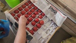 Базарный маршрут #1 в Ташкенте 🍅 🇺🇿