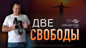 Две свободы - Александр Волик