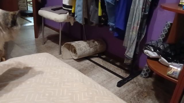 ложусь спать😴