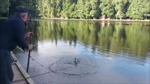 Утренний обзор с нижнего водоёма. Клёвое место, Лосиный остров.