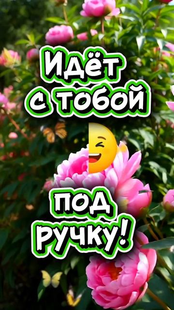 🌅Доброго утра, счастливого дня!