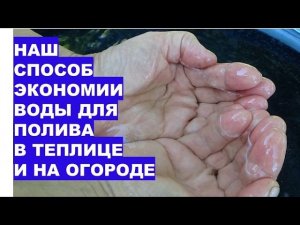 Техника полива, которая экономит половину воды в теплице и на огороде