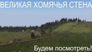 DAYZ. Великая хомячья стена.