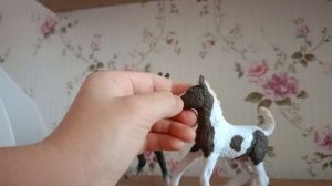 на лошадей коллекто