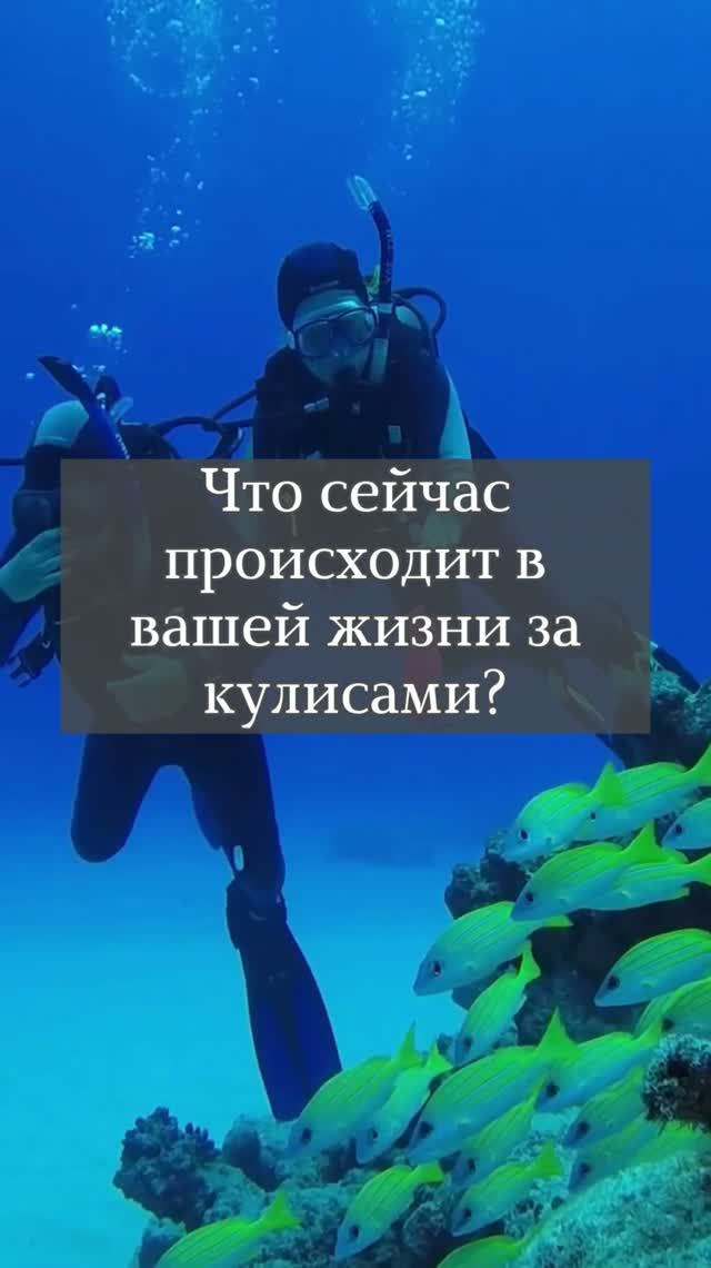 ✨Послание Таро для тебя✨
