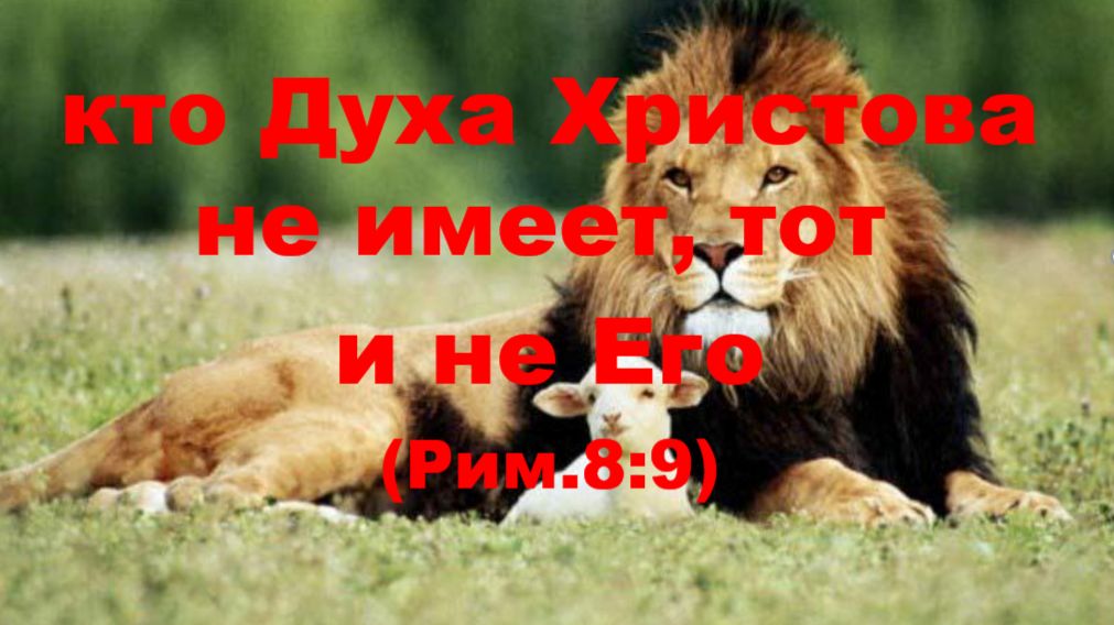ПОСЛАНИЕ РИМЛЯНАМ, 8 ГЛАВА