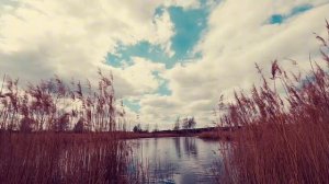 ПОЙМАЛ ЖЕНУ НА ЛЖИ! ШОК! История измен|Аудио рассказы|Истории из жизни
