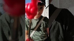 собираем всю коллекцию пвз-1 часть.