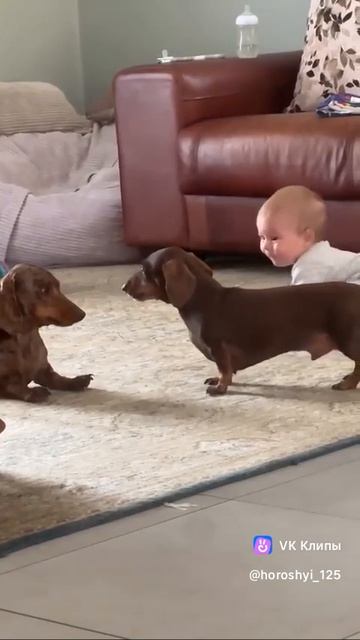 Best Friends 🐕🧸