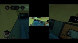 Побили рекорд по сменам в больнице для животных