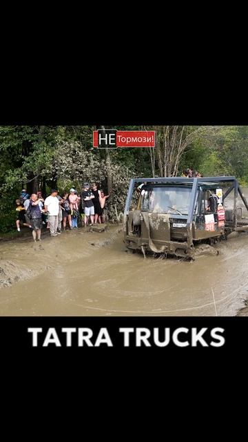 Интересно, наш УРАЛ справится? #татра #tatratrucks #грузовик #гонка #offroad
